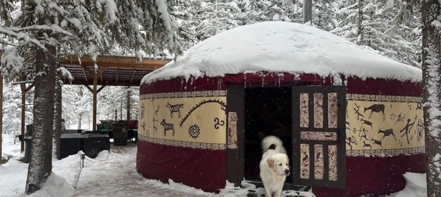 "Shanti Yurt" with private hot tub in Bragg Creek in Bragg Creek