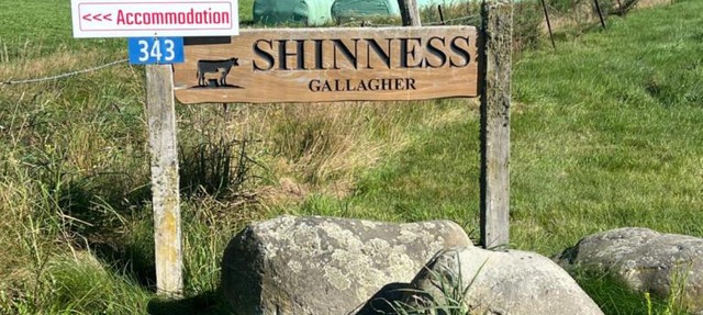 Shinness in Ashwick Flat