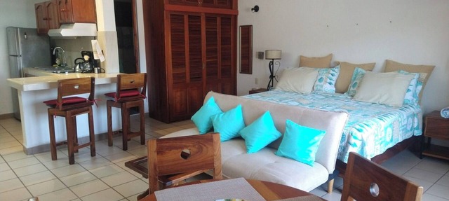 Steps From Main Beaches & Ocean View From Pool in Zihuatanejo