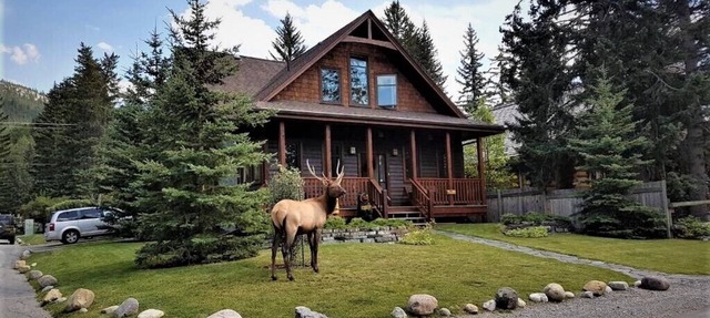 The Cedar - Downtown, walking distance to all the shops and restaurants! in Banff