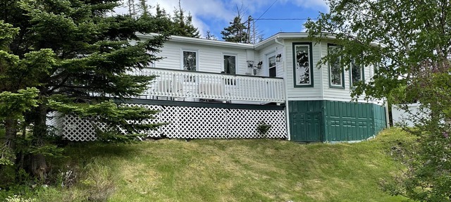 This Cabin Steps from the East Coast trail, fishing ponds and whale Watching! in Cape Broyle
