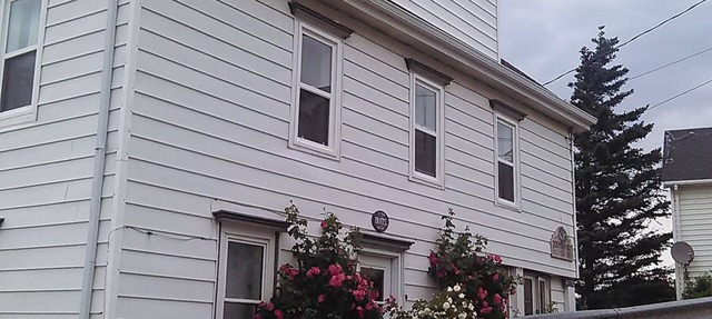 Welcome to Dolphin's Rest! Your Historic Oceanfront Getaway Awaits! in Halls Hrbour