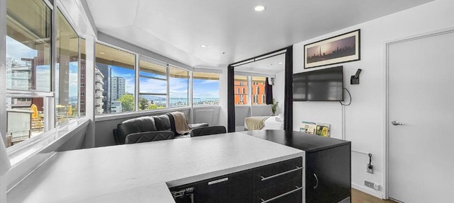 Whitaker Wish- Spacious, city based apartment with carpark in Auckland