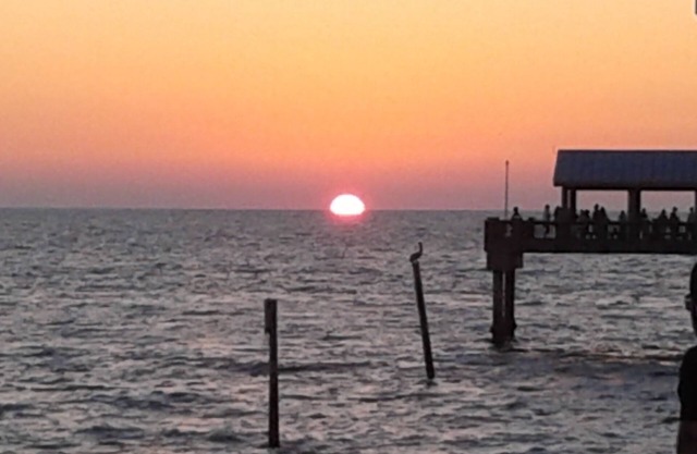 Bay Clearwater 