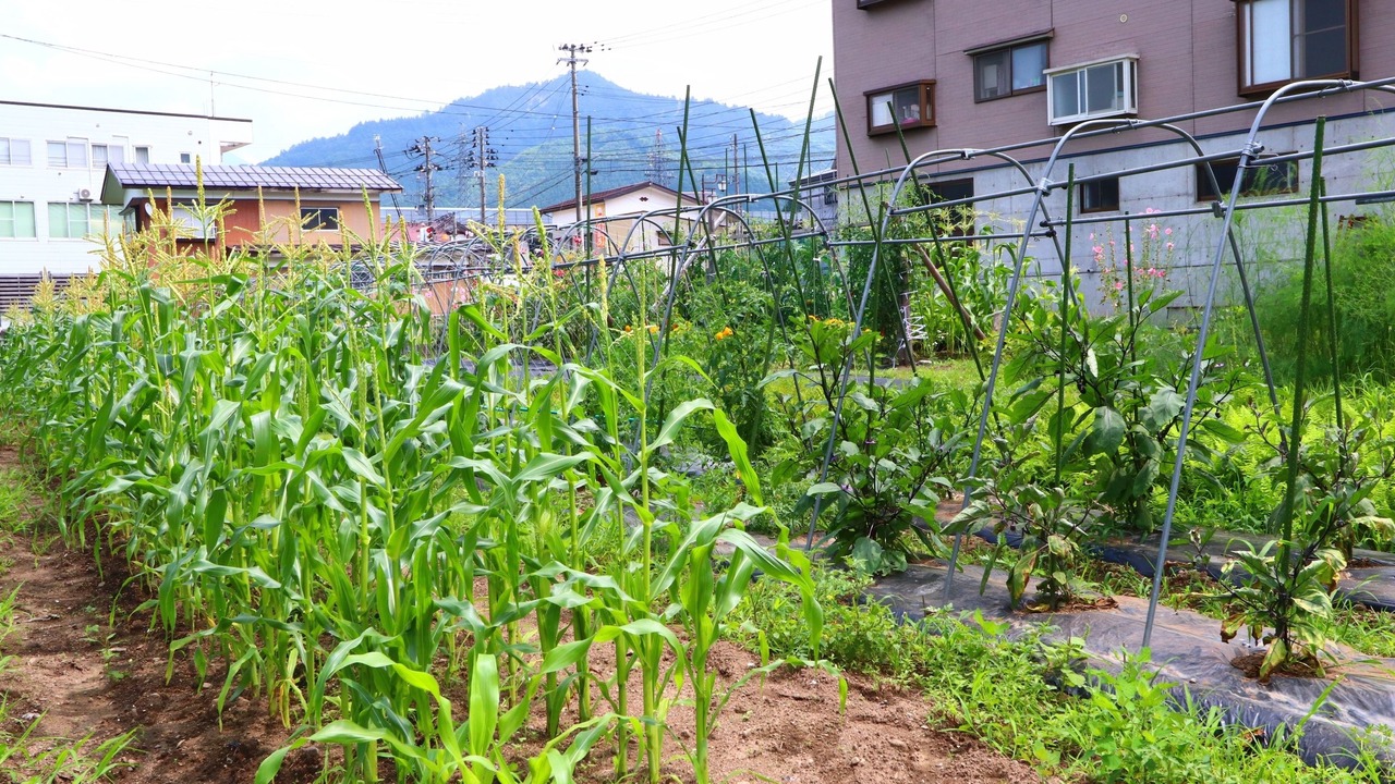Photo of Outdoor in Yuzawa-machi