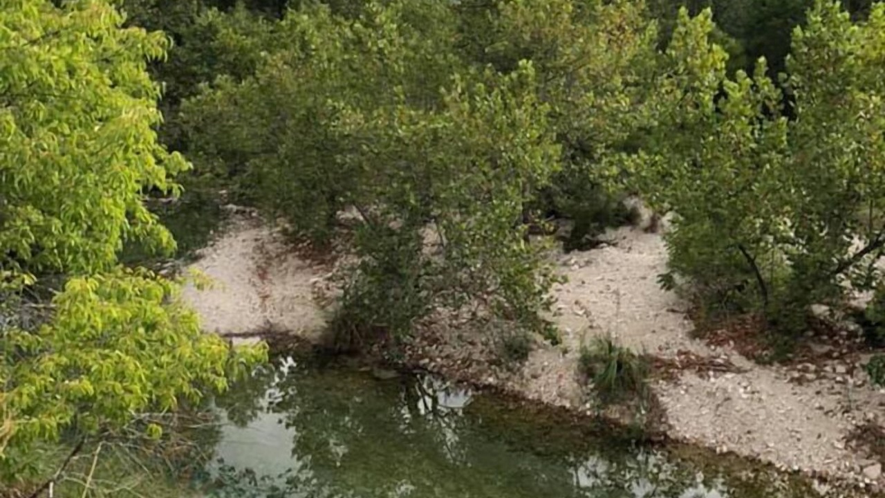 Photo of Others in Uvalde