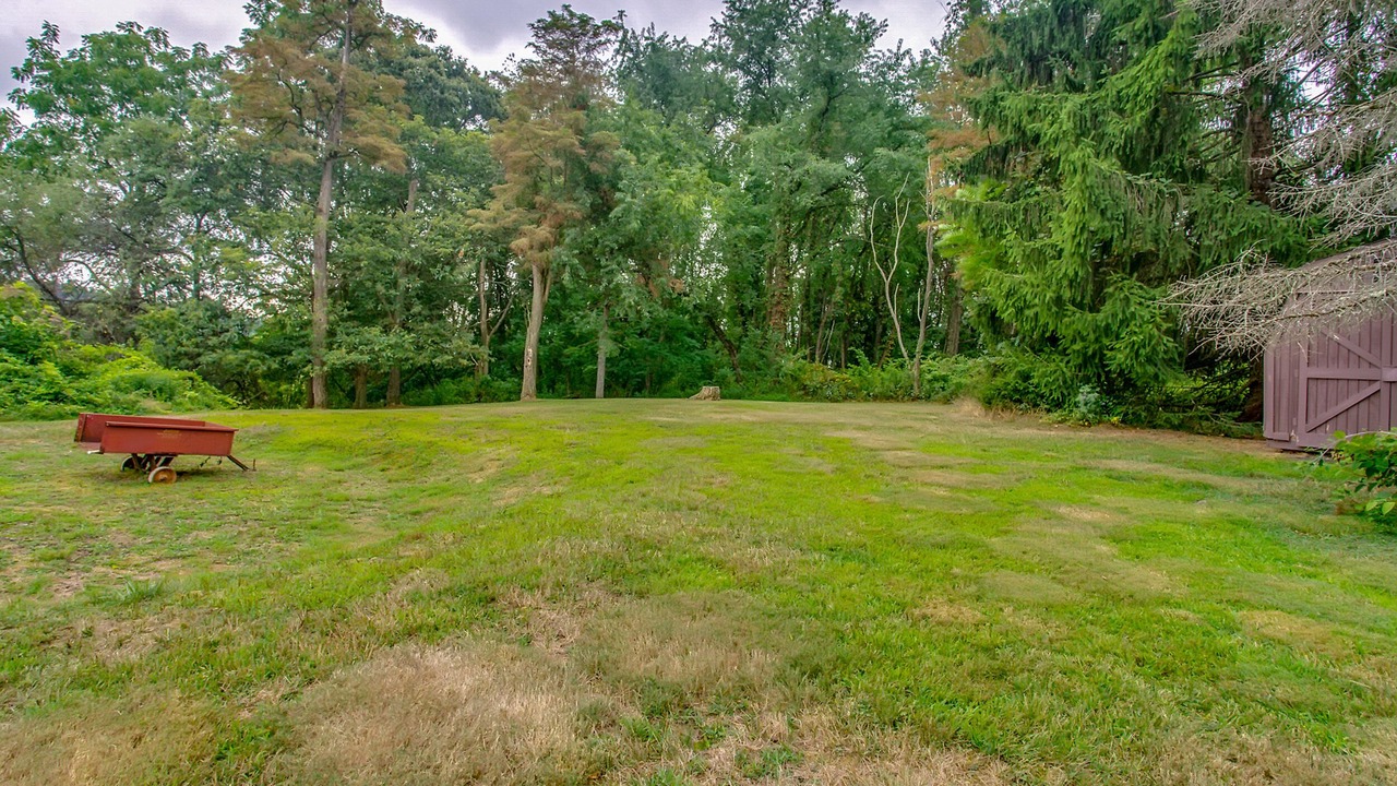 Photo of Outdoor in Plum
