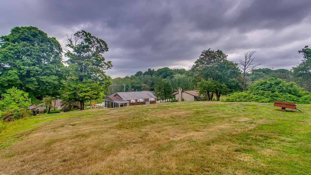 Photo of Outdoor in Plum