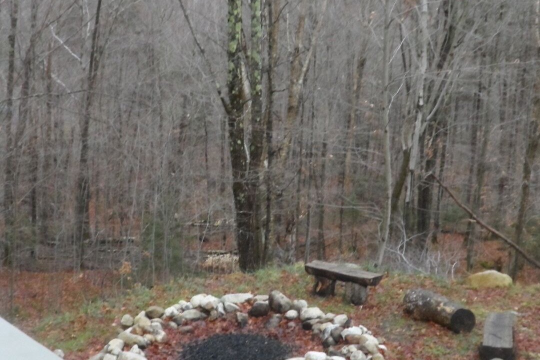 Photo of Livingroom in Lake Placid