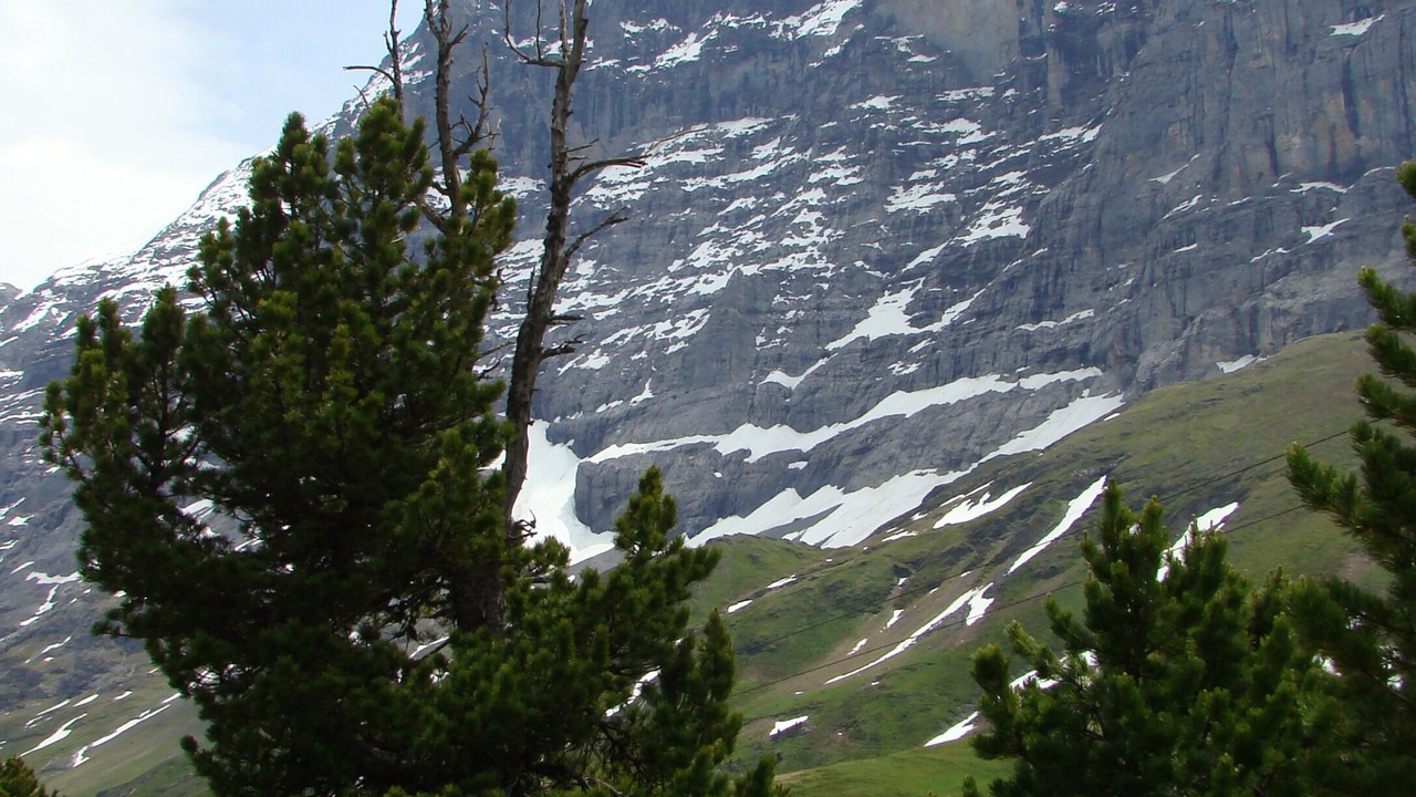 Photo of Others in Grindelwald