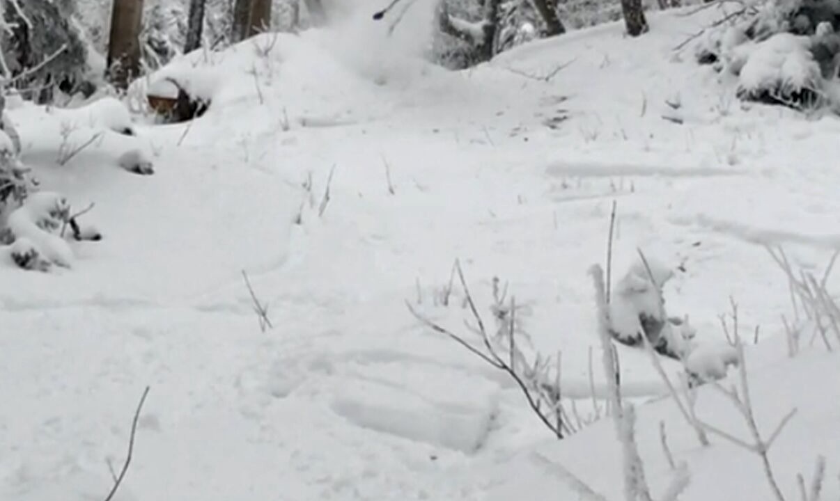 Photo of Others in North Troy
