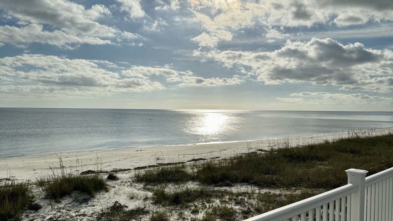 Photo of Others in Alligator Point