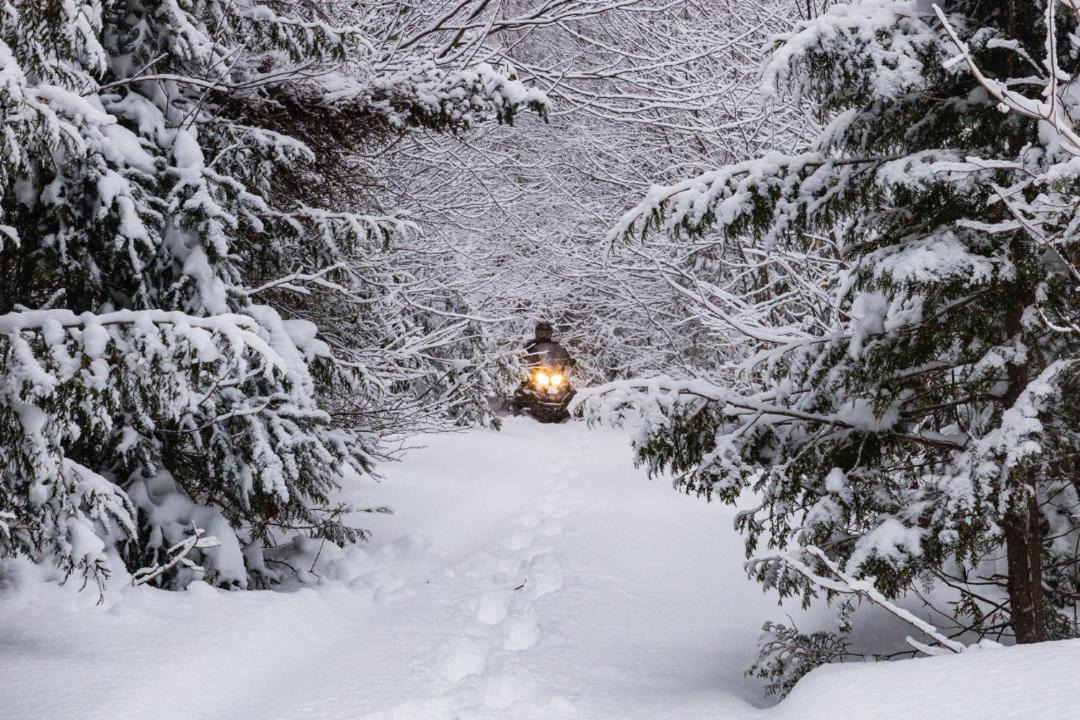 Photo of Others in Marmora