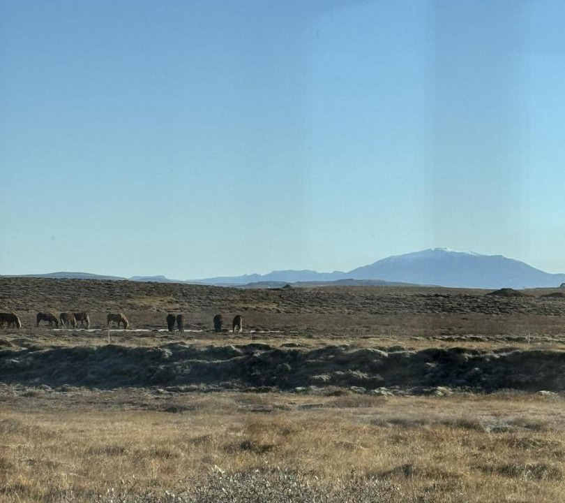 Photo of Others in Selfoss