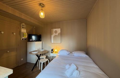 Carnot - Gailleton Apartment | Conde - Hyper Centre - Studio